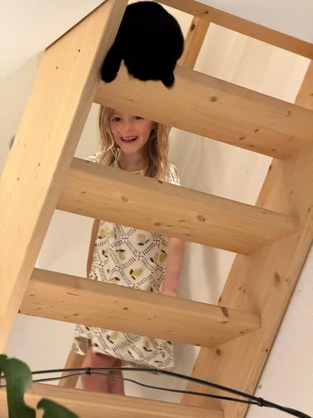A young child with a bright smile peeks from behind a light wooden staircase, while a black cat rests on a step above